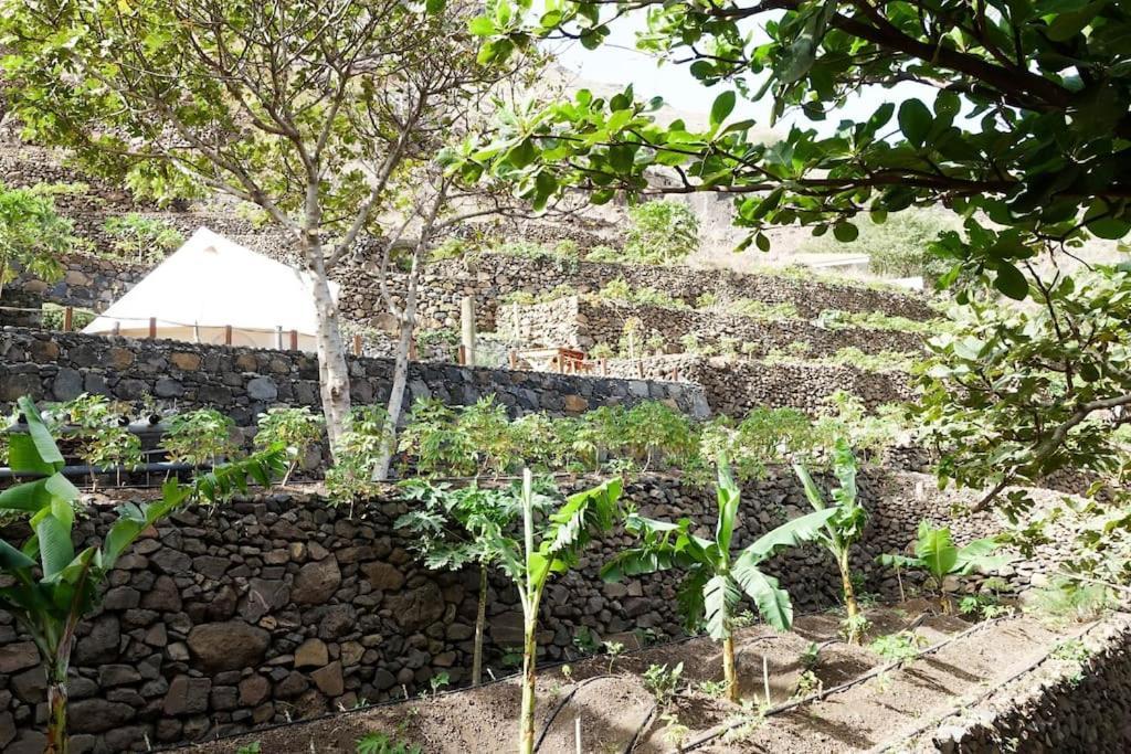 Ecolodge Kasa D'Igreja Chã da Igreja Esterno foto