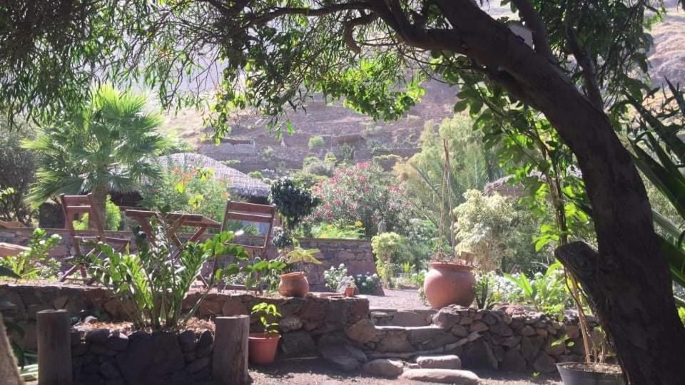 Ecolodge Kasa D'Igreja Chã da Igreja Esterno foto